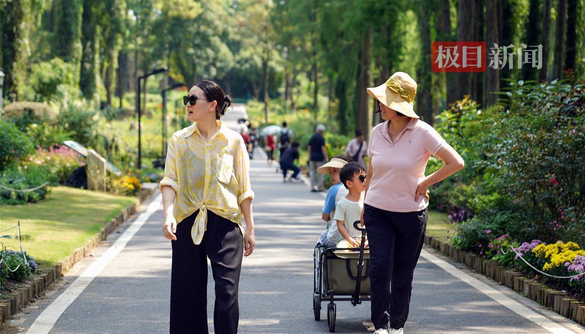 皇冠手机版下载
